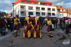 partygraf_DSC09677_Nutzung-Social-Media-800px-mit-Logo_5f430ac2_